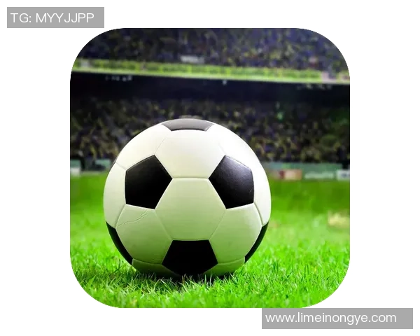 《畅享足球明星传奇 绘画本带你走进球场英雄的精彩世界》